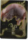 Product image for Miel