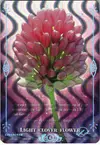 Product image for Light Clover Flower