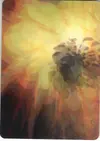 Product image for Explode