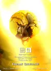 Product image for Coulant Chocolat
