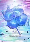 Product image for Water Clover