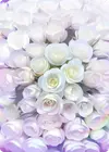 Product image for Bouquet De La Mariée