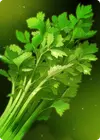 Product image for Diet