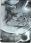 Product image for Miel