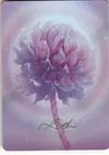 Product image for Sweet Clover Flower