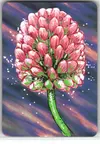 Product image for Light Clover Flower