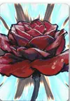 Product image for Passion