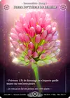 Product image for Fleur Du Trèfle De Lumière