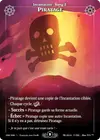 Product image for Piratage