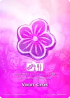 Product image for Bonbon Goût Violette