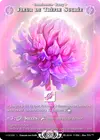 Product image for Fleur De Trèfle Sucrée