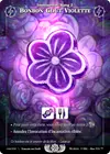 Product image for Bonbon Goût Violette