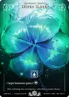 Product image for Water Clover