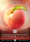 Product image for Fruit