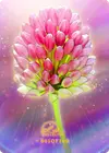Product image for Light Clover Flower