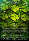 Product image for Clover Field