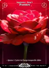 Product image for Passion