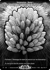 Product image for Fleur Du Trèfle De Lumière