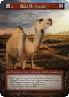 Product image for Raal Dromedary