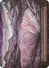 Product image for Shifting Sands