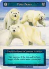 Product image for Polar Bears