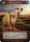 Product image for Raal Dromedary