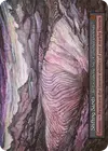 Product image for Shifting Sands