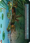 Product image for Tadpole Pool