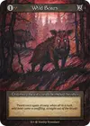 Product image for Wild Boars