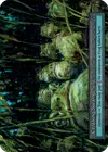 Product image for Croaking Swamp