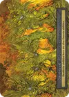 Product image for Saintweald