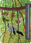 Product image for Shrike Orchard
