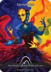 Product image for Elementalist