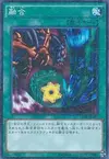 Product image for Polymerization