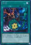 Product image for Polymerization