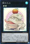 Product image for Toadally Awesome