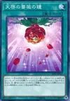 Product image for Rose Bell of Revelation