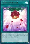 Product image for Rose Bell of Revelation
