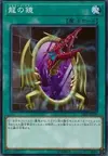 Product image for Dragon's Mirror