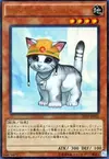 Product image for Rescue Cat