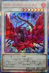 Product image for Black Rose Dragon