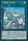 Product image for White Rose Cloister