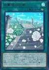 Product image for White Rose Cloister