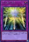 Product image for Spiritual Swords of Revealing Light