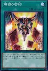 Product image for Contract with the Void
