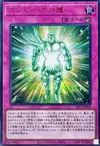 Product image for Protection of the Elements