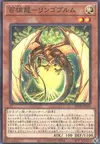 Product image for Ringowurm, the Dragon Guarding the Hundred Apples