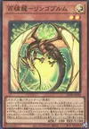 Product image for Ringowurm, the Dragon Guarding the Hundred Apples