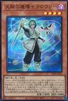 Product image for Crowley, the Gifted Magistus