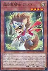 Product image for Wonko, Noble Knight of the Forest